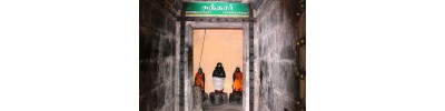 222. திருநாவலூர்